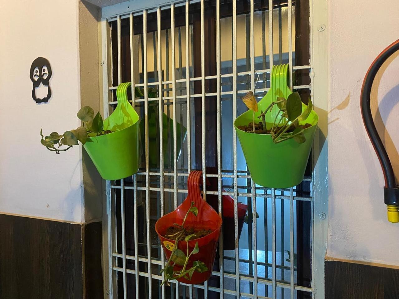 Ram Paying Guest House & Hostel Near By Krishna Janmabhoomi Mathura Exteriör bild